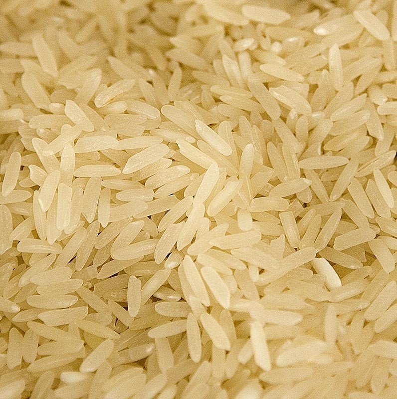 Clasificador del color de las habas del maíz del arroz del grano del CCD LED de WENYAO Wholesale pequeño caliente en Ploland
