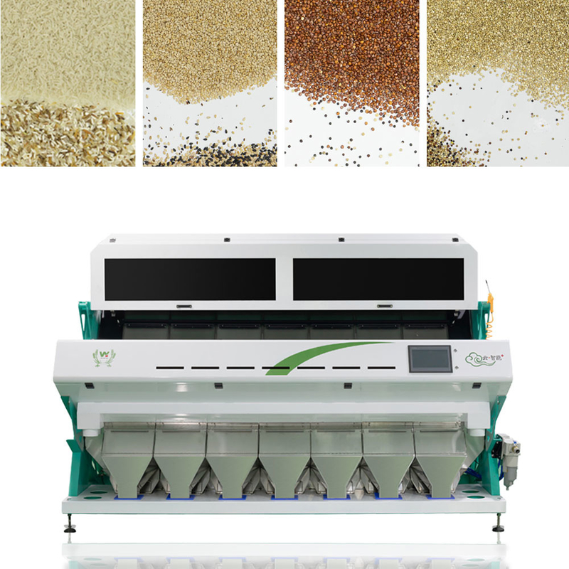 Línea de transformación automática de la granja de 7 canales inclinados clasificadora usada del color de la cebada del trigo con la cámara de Toshiba