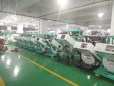 Línea de transformación automática de la granja de 7 canales inclinados clasificadora usada del color de la cebada del trigo con la cámara de Toshiba