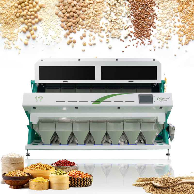 Clasificador vegetal del color de Optica del ajo de Olive Fruit Sorting Machine Unpeeled de 448 canales
