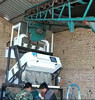 Wenyao Small Grain Colour Sorter For Sale Color de semillas de maní Precio Máquina de clasificación Color de clasificación Fabricante