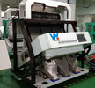 Wenyao Small Grain Colour Sorter For Sale Color de semillas de maní Precio Máquina de clasificación Color de clasificación Fabricante