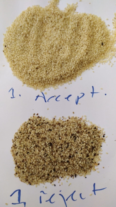 CE de alta frecuencia de Chili Seeds Color Sorting Machines del coriandro de la calabaza de 6 canales inclinados certifited