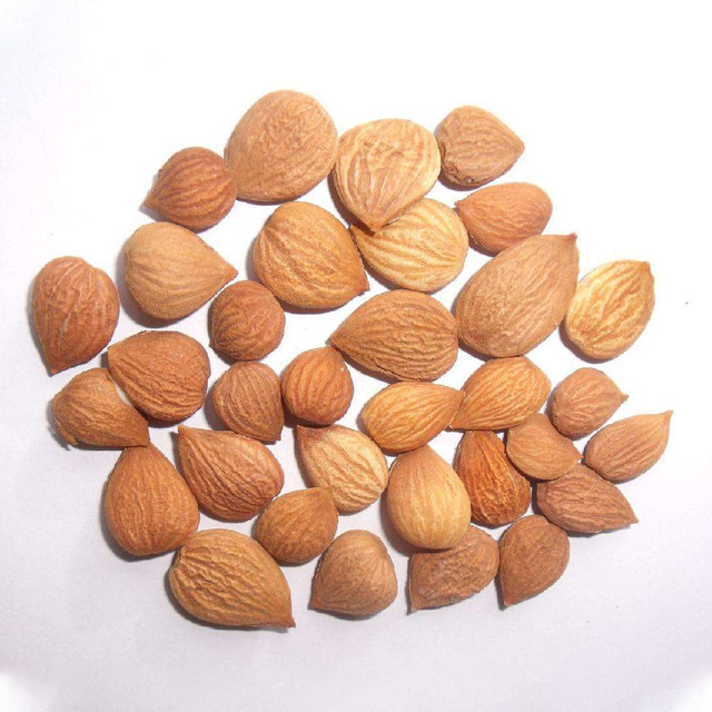Máquina del clasificador del color de la almendra del conjunto completo del proveedor de la calidad de China para la planta de comida