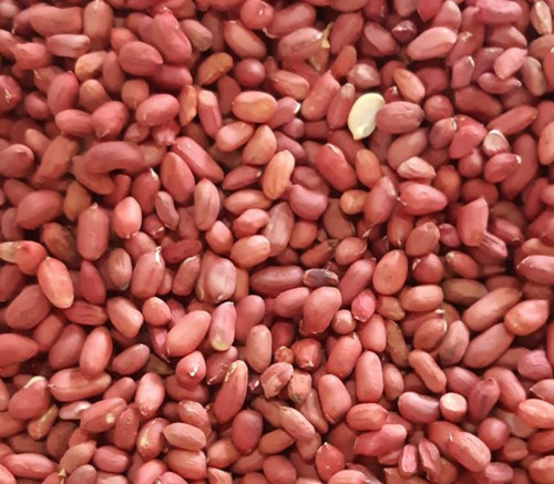 Los cacahuetes de las nueces de las luces LED del CCD de WENYAO colorean la máquina del clasificador para la planta de comida