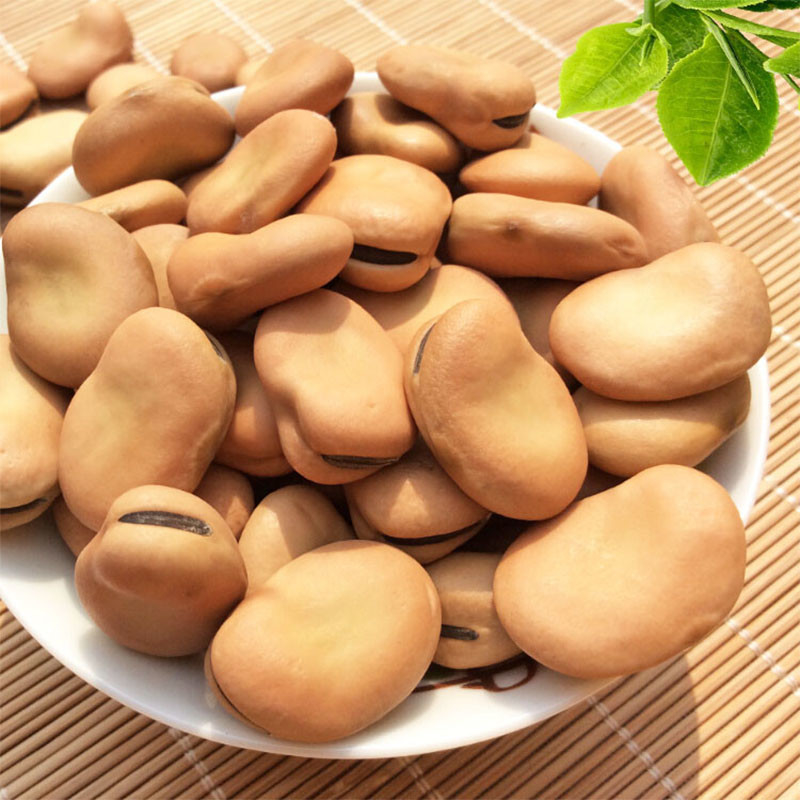 Las habas ópticas elegantes de las nueces del CCD colorean la clasificadora para la planta de comida