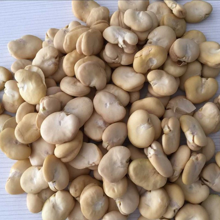 Las habas ópticas elegantes de las nueces del CCD colorean la clasificadora para la planta de comida