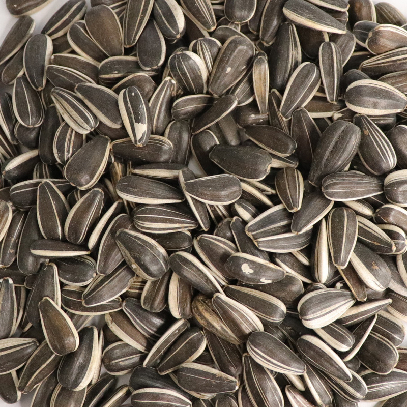 4 inteligentes completamente automáticos de la máquina del clasificador del color de las semillas de girasol de las nueces de los canales inclinados