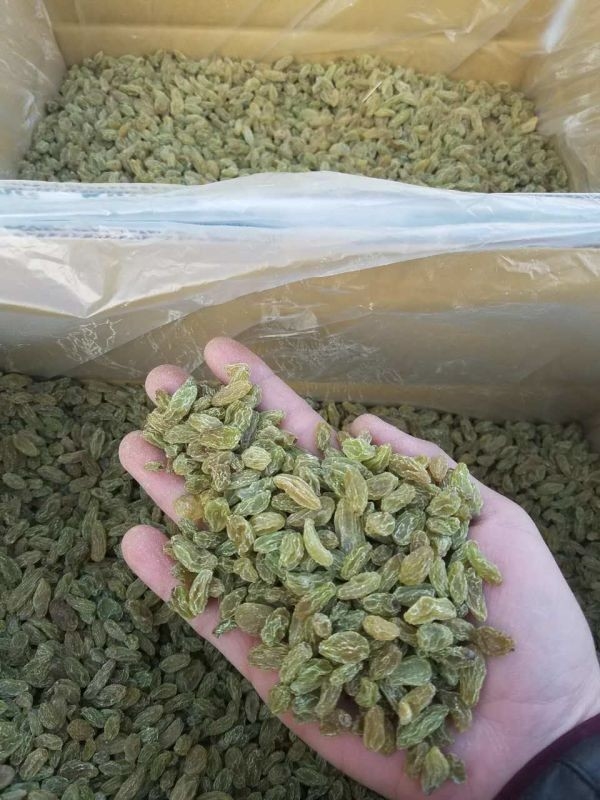 Las nueces de las pasas de la eficacia alta colorean el clasificador que la máquina rendimiento 100 toneladas por día
