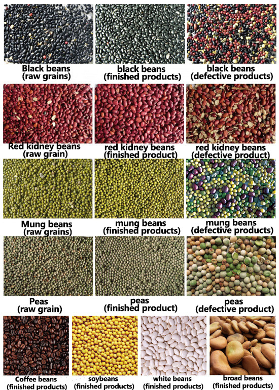 Producción verde roja de Bean Cardamom Multifunction Color Sorter 3t/H