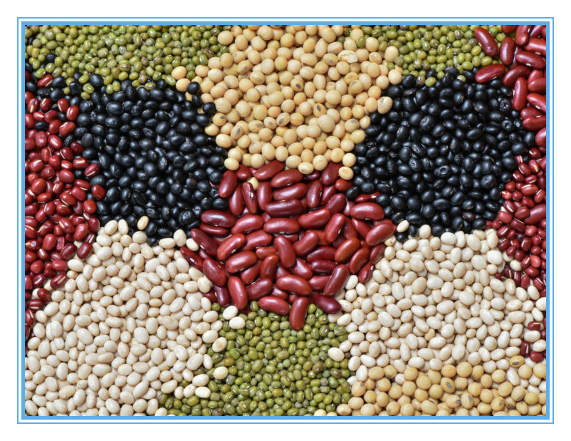 Computación automática del maíz de la quinoa del trigo del arroz del clasificador multifuncional del color