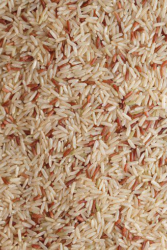 WENYao 4 canaliza la clasificadora del color del arroz moreno del precio de fábrica de 256 canales