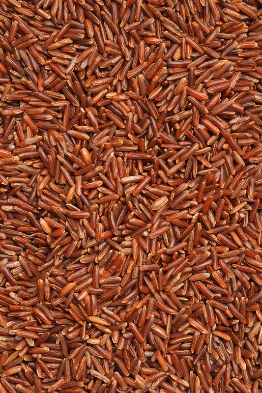 WENYao 4 canaliza la clasificadora del color del arroz moreno del precio de fábrica de 256 canales