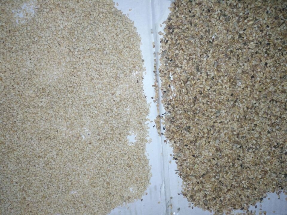 Precisión de la máquina del clasificador de Paddy Corn Soybean Grain Color del trigo alta
