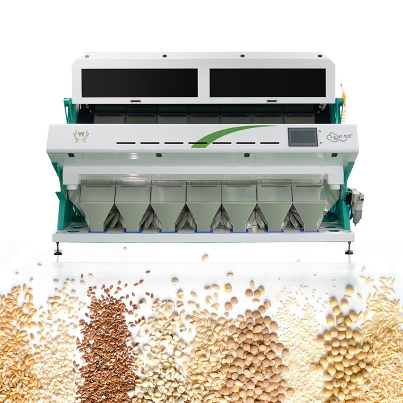 máquina china completamente automática inteligente del clasificador del color de la zahína 7Chute 70 toneladas por día