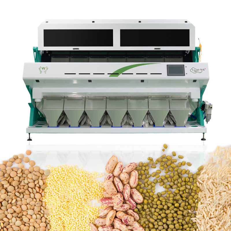 máquina china completamente automática inteligente del clasificador del color de la zahína 7Chute 70 toneladas por día