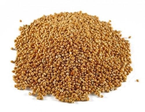 Clasificador orgánico automático inteligente del color del arroz de 7 canales 80 toneladas por la clasificadora del color del día