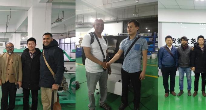 100-900KG/H Color de la máquina de clasificación para la nuez de macadamia Wanlut Noz de avellana 8