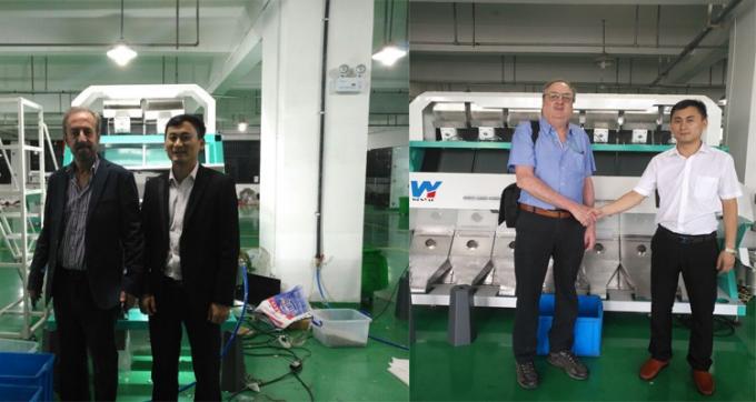 100-900KG/H Color de la máquina de clasificación para la nuez de macadamia Wanlut Noz de avellana 9