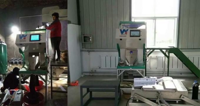 220V / 50Hz Wenyao máquina de clasificación de color para el café de grano de cereza 11