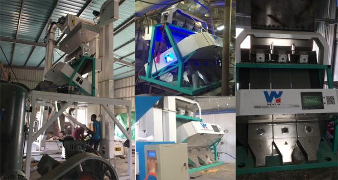 220V / 50Hz Wenyao máquina de clasificación de color para el café de grano de cereza 12