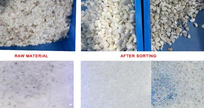 220V / 50Hz Wenyao máquina de clasificación de color para el café de grano de cereza 8