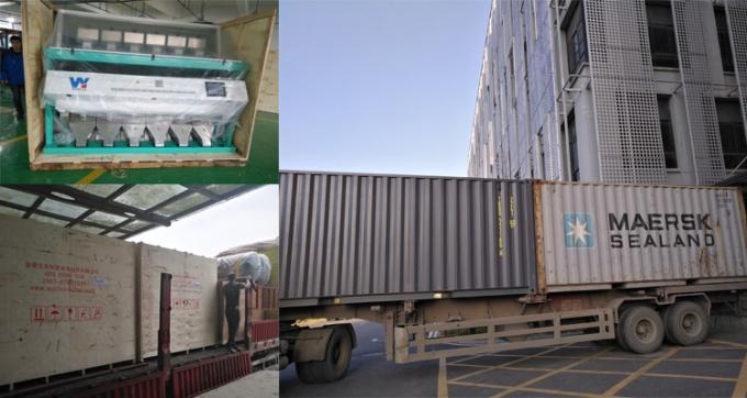 220V / 50Hz Wenyao máquina de clasificación de color para el café de grano de cereza 25