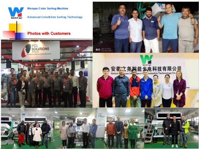 6 Chute cámara óptica CCD inteligente PET PVC HDPE máquina de clasificación de colores de plástico Wifi remoto 12