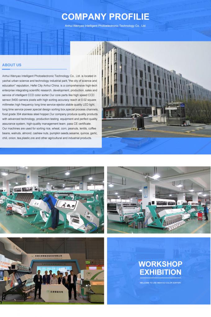 High Performance Intelligent Plastic Flake Color Sorter Machine PET Bottle Scrap Color Sorting Machinery For Recycling Plant