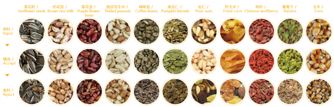 Máquina de clasificación de color de las ciruelas pasas inteligentes arándanos y repollo kiwicha cebolla frita vegetales y frutas para procesamiento agrícola 4