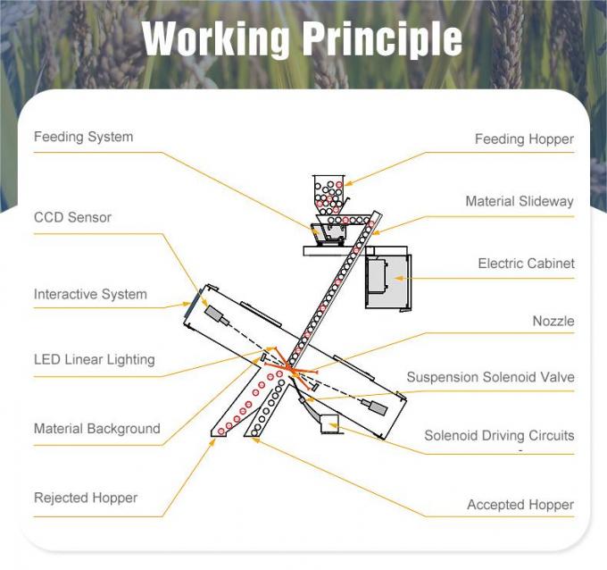 Wenyao Optical Small Color Sortor Color Sortor de semillas de girasol / máquina de clasificación Color Sortor Color Sortor de semillas de girasol Color Sortor 7