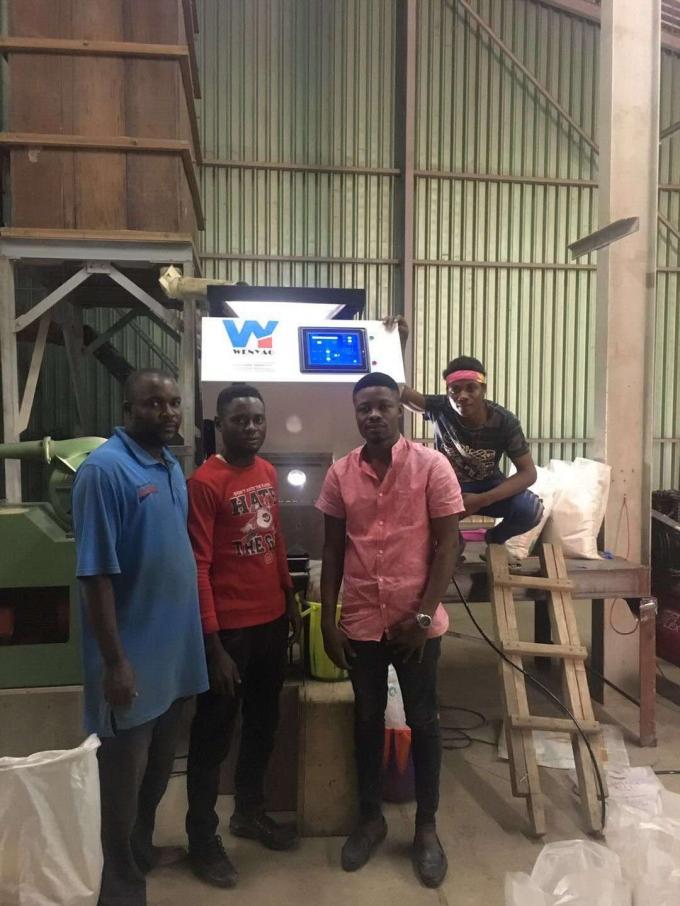 Wenyao LED Máquina de clasificación óptica de té verde, equipo de procesamiento de hojas de té 10