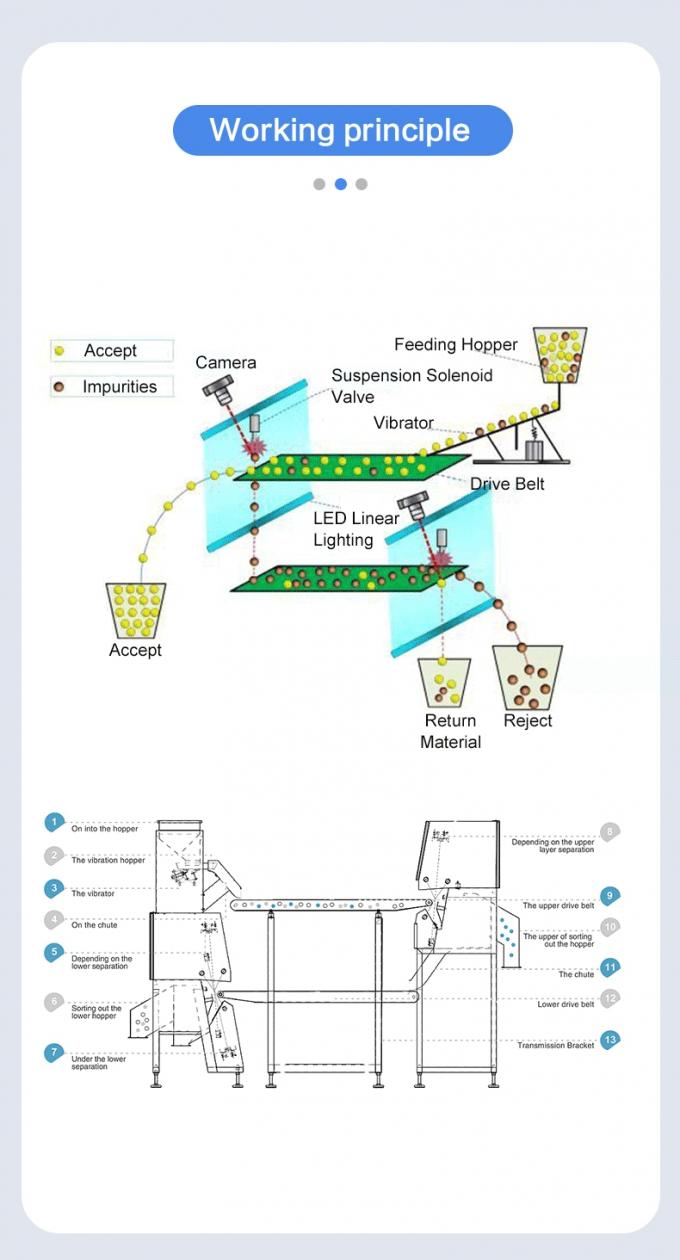 Máquina de clasificación de color de frijoles de riñón inteligente con cámara CCD 6 con operación fácil 5