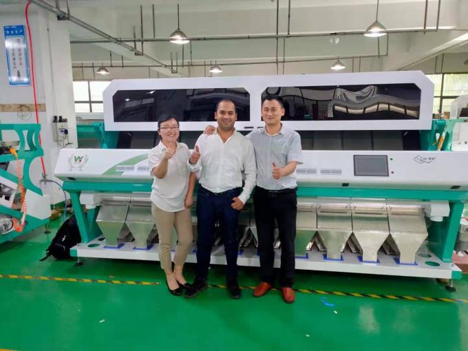 Wenyao Full Automatic 3 Chute Soya Broad Renal Bean Color Sortadora de la máquina 15