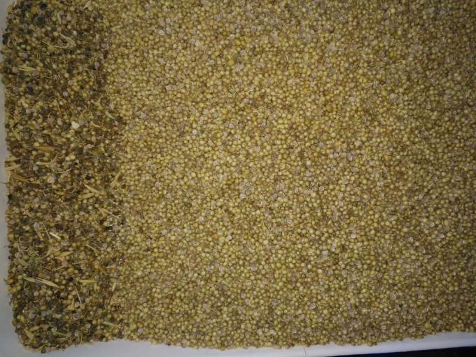 Máquina de limpieza de semillas de color de semillas ópticas pequeñas con buen rendimiento 3