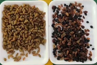 Máquina de clasificación de colores de pasas de uva con certificación CE 3