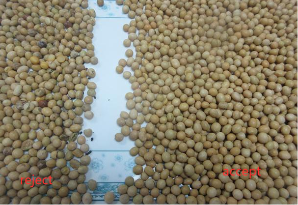 Separador de color inteligente CCD cámara de granos de arroz de soja clasificador de color para la agricultura 4