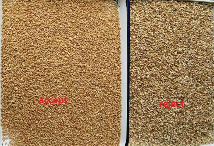 Máquina clasificadora de color para operaciones de clasificación de granos, arroz y frijoles con autolimpieza de alta velocidad 0