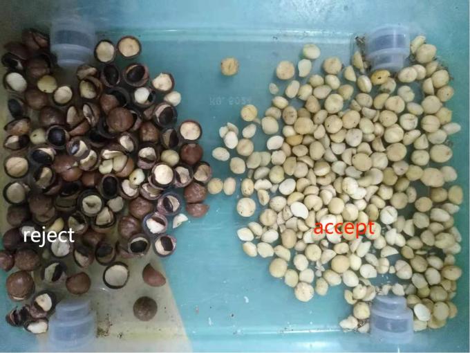 2025 Venta en caliente Precio de fábrica CCD Nuts Color Sorter Equipo de separación de nueces de macadamia con CE 3