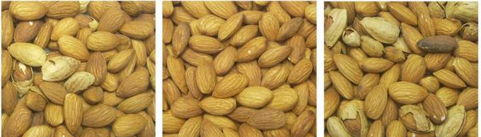 Aprendizaje de inteligencia artificial Tipo de cinturón inteligente Peanut Hazelnut Pistachio Nuts Color Sorting Machine 13