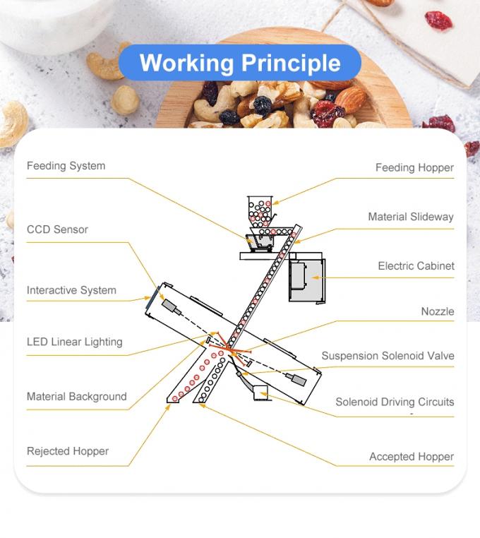 Máquina inteligente de clasificación de color de nuez de anacardo con sensor Toshiba CCD y cámara RGB 4