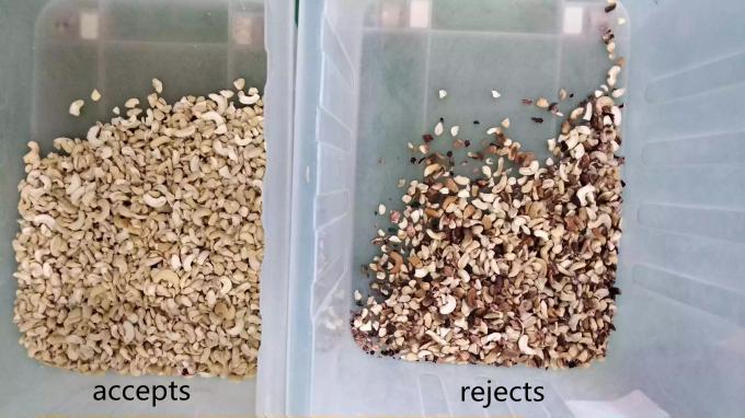 Máquina inteligente de clasificación de color de nuez de anacardo con sensor Toshiba CCD y cámara RGB 6