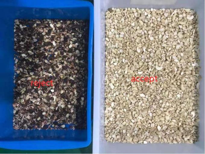 Máquina inteligente de clasificación de color de nuez de anacardo con sensor Toshiba CCD y cámara RGB 8