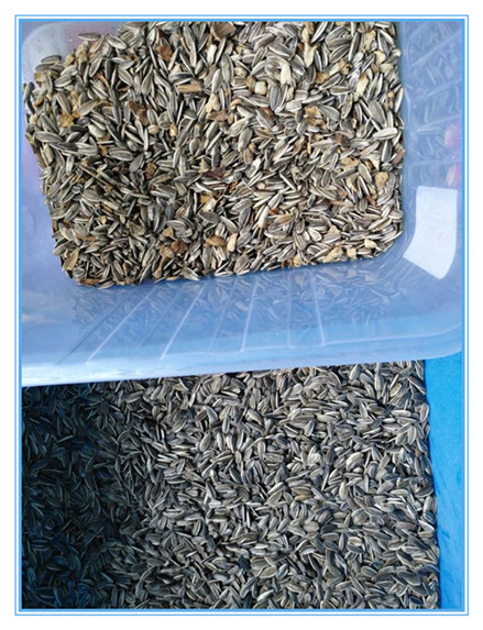 Wenyao más reciente certificado óptico CE Semillas de calabaza semillas de sandía máquina de clasificación de color 10