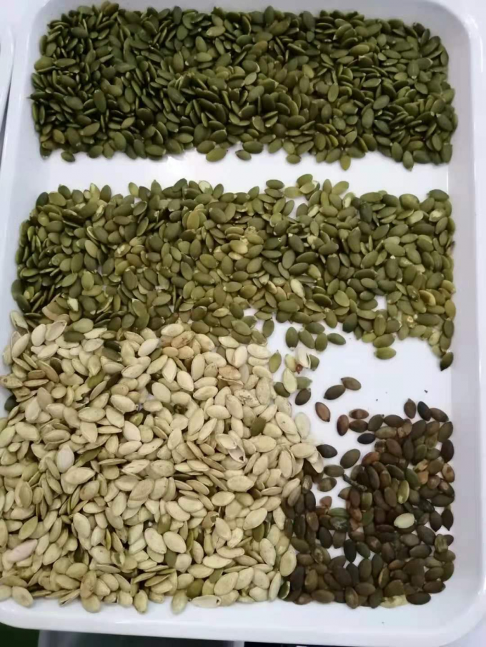 Wenyao más reciente certificado óptico CE Semillas de calabaza semillas de sandía máquina de clasificación de color 11