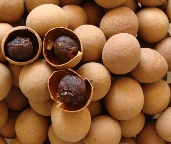 Wenyao WYCS1-64 1 Chute fácil de operar clasificador óptico para verduras hidratadas Cebollas de cebolla seca Papas Cebollas de clasificación de máquina 10