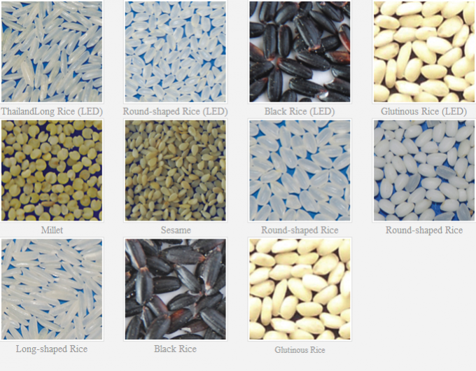 Wenyao fábrica inteligente venta directa de riñón frijoles cacahuete garbanzos máquina de clasificación de color 9