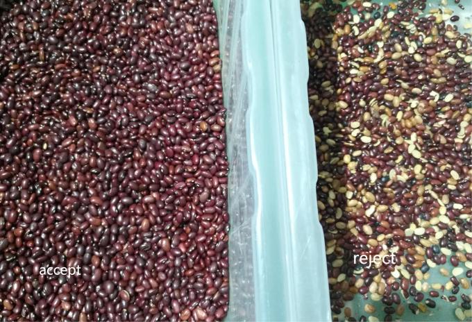 Máquina de clasificación óptica de color de frijoles rojos y riñones inteligente de alta precisión 10