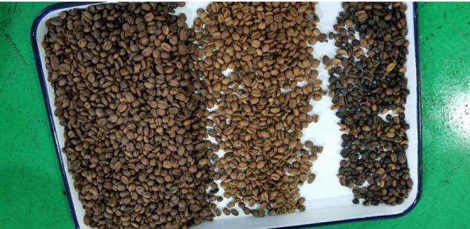 Wenyao fábrica inteligente venta directa de riñón frijoles cacahuete garbanzos máquina de clasificación de color 13