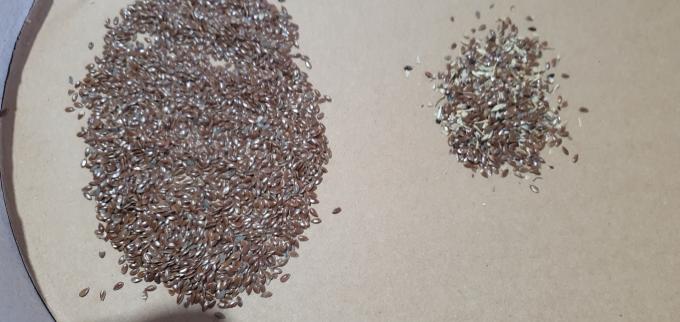 Wenyao 2025 Venta caliente de semillas de clasificación de semillas de chía automática completa Semillas de lino máquina de clasificación de color 13